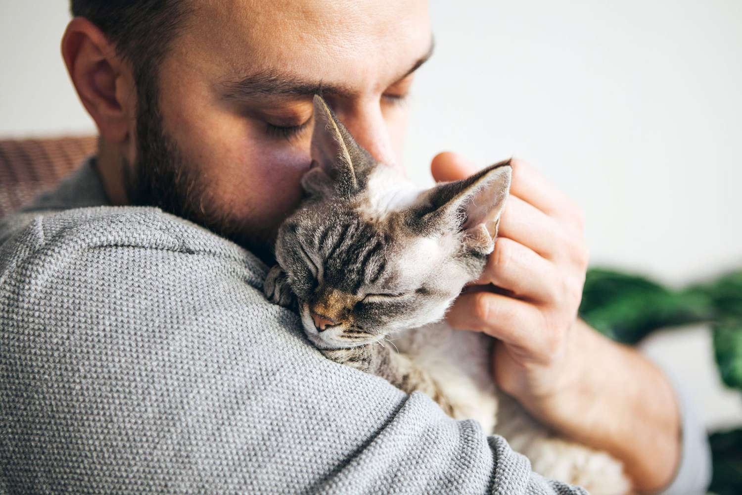 كيفية تربية القطط: دليل شامل لصحة وسعادة قطتك