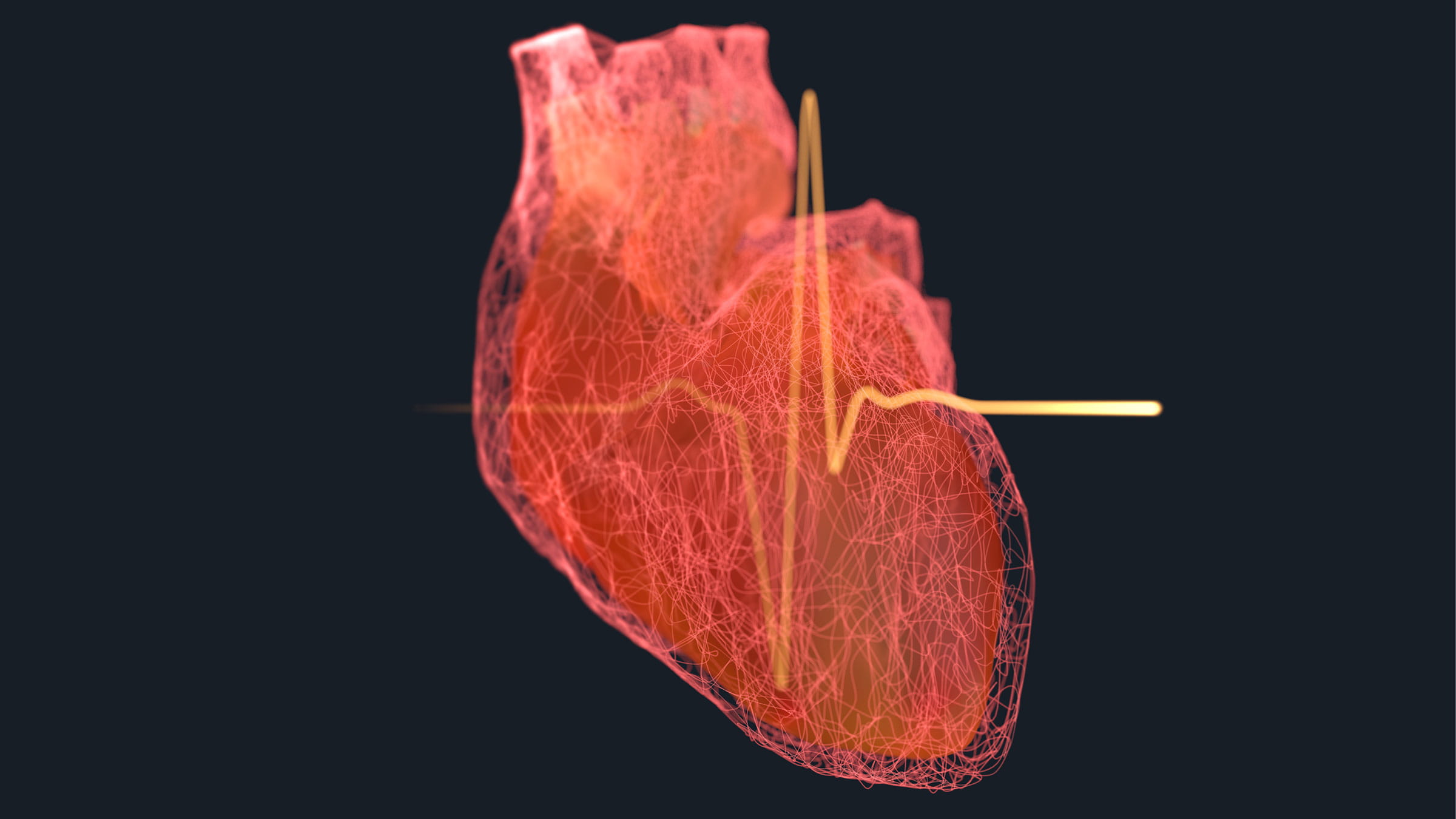 كيف يمكن قراءة تخطيط القلب
