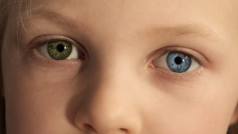 كيف اعرف لون عيون طفلي ببضع خطوات بسيطة